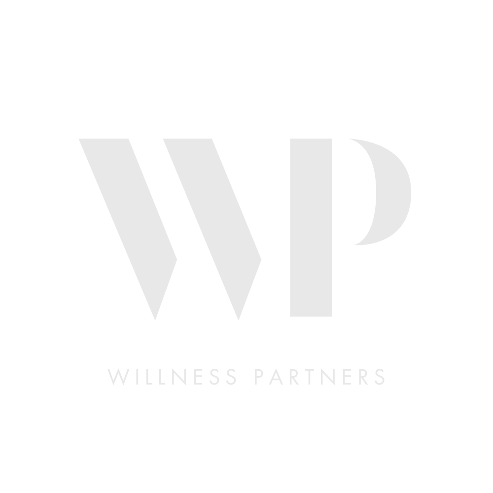 logo willness partners (1) blanc